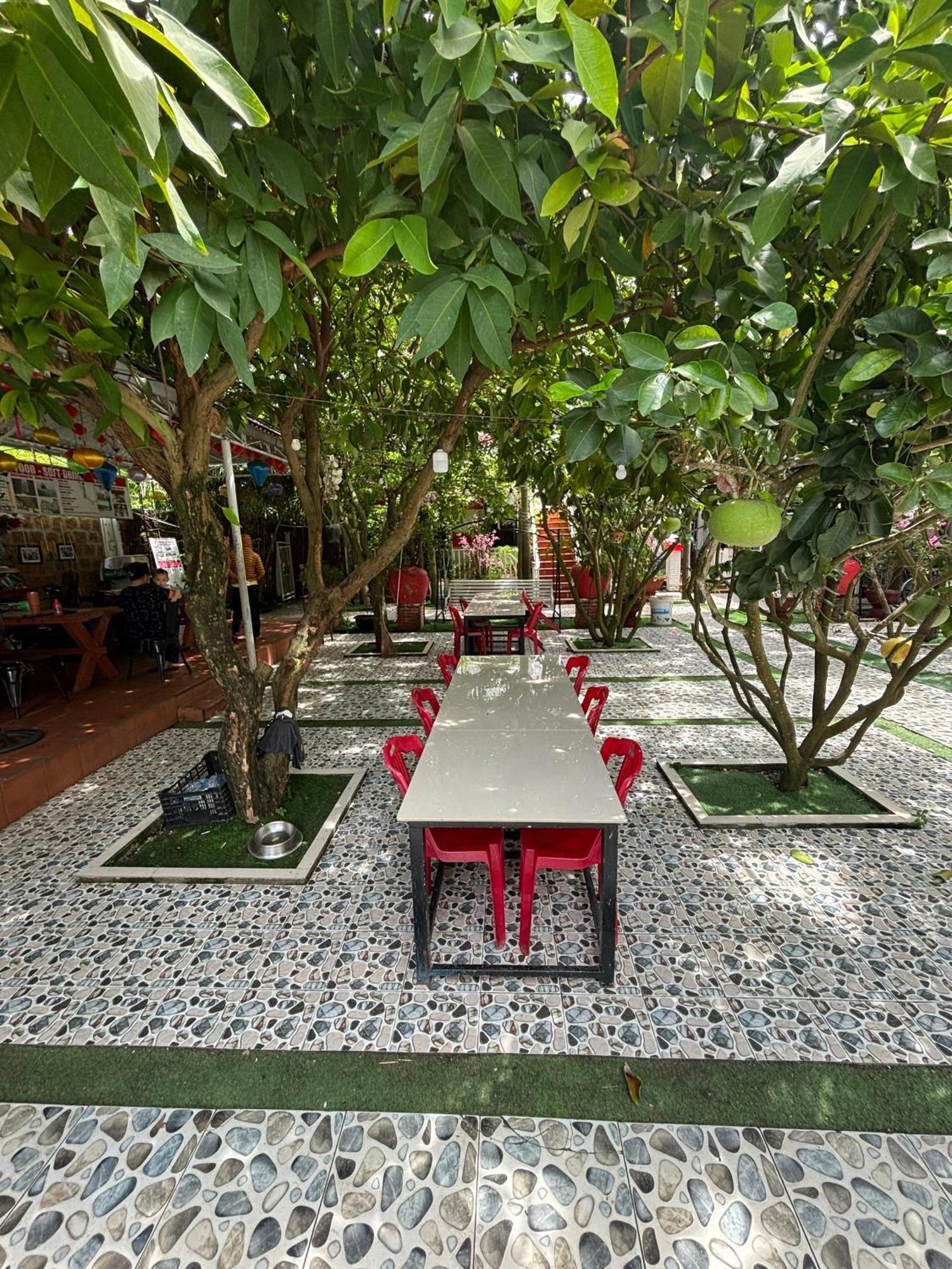 Red House Homestay - Villa Hoi An Dış mekan fotoğraf